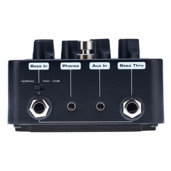 Palmer Pocket Amp Bass