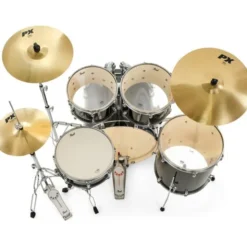 Pearl Export 22