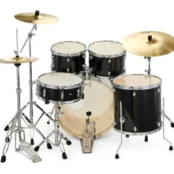 Pearl Export 22