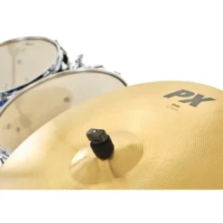 Pearl Export 20