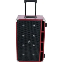 Phil Jones Compact C8 Bass Cabinet RD