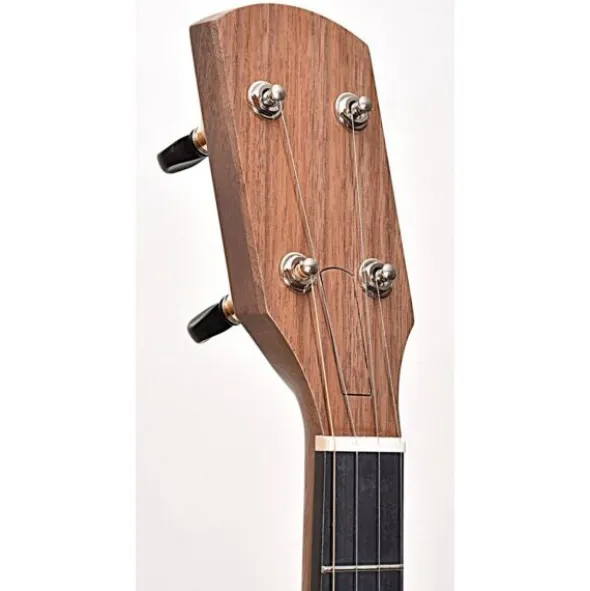 Pisgah Woodchuck Walnut 12"