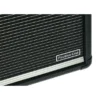 Positive Grid Reactor 100