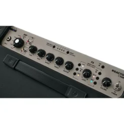Positive Grid Reactor 100