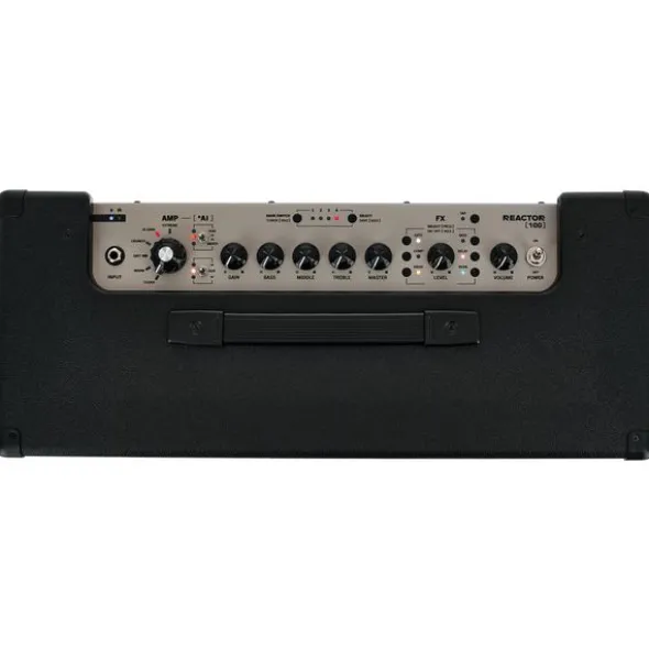 Positive Grid Reactor 100