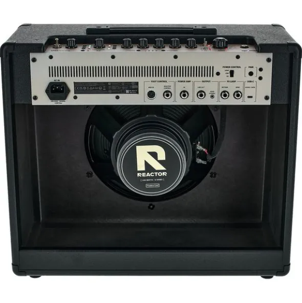Positive Grid Reactor 100