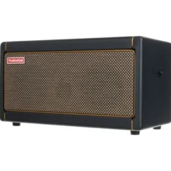 Positive Grid Spark 40 BK