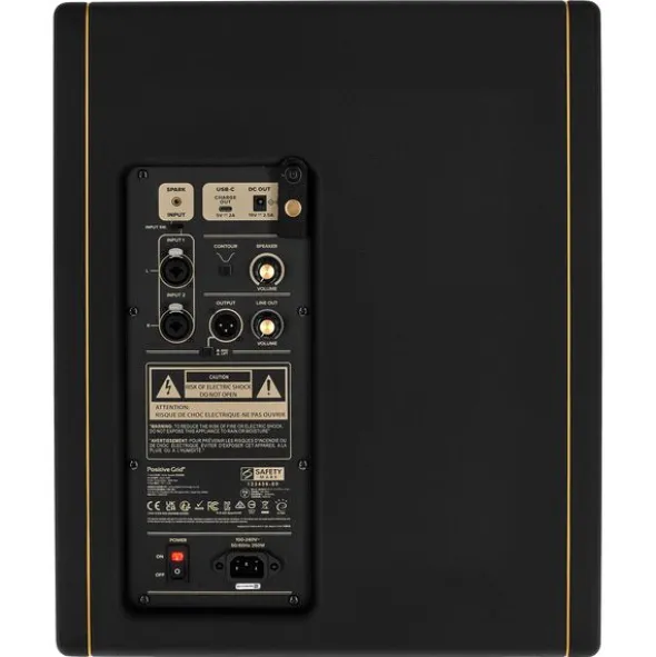 Positive Grid Spark CAB