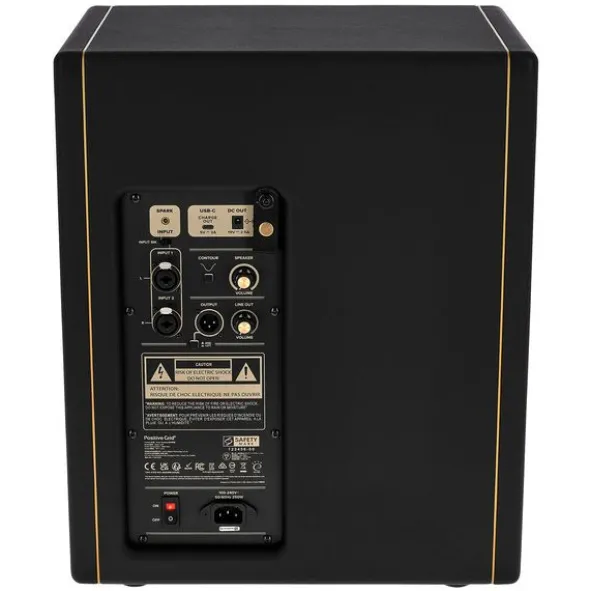 Positive Grid Spark CAB