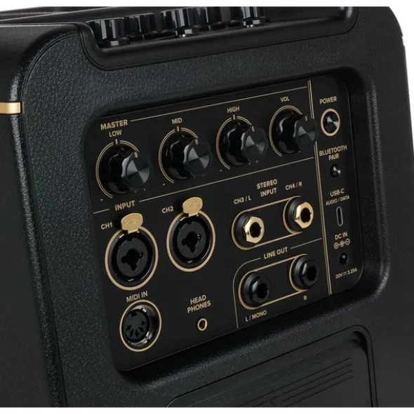 Positive Grid Spark Edge BK Bundle w/Battery