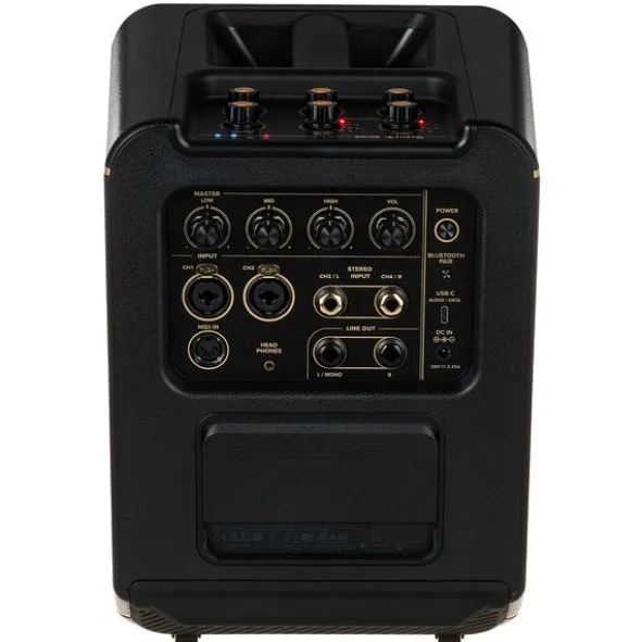 Positive Grid Spark Edge BK Bundle w/Battery