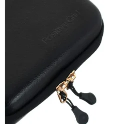 Positive Grid Spark Go Case