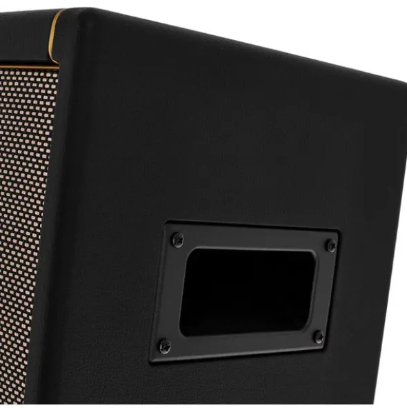 Positive Grid Spark Mini BK Bundle