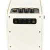 Positive Grid Spark Mini PW