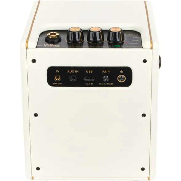 Positive Grid Spark Mini PW