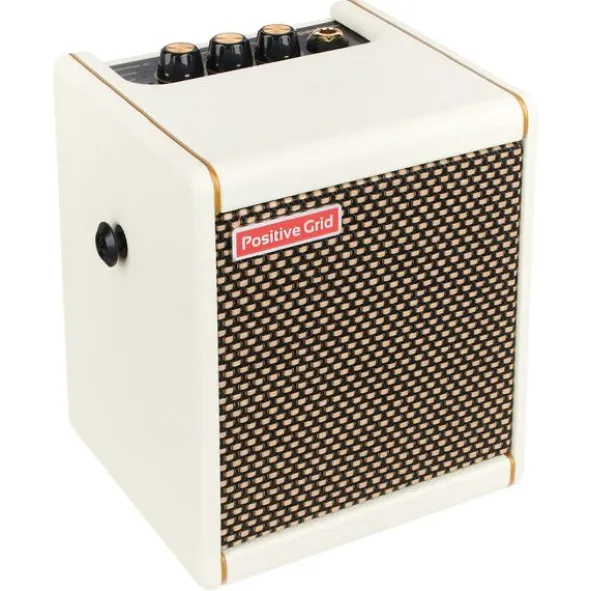 Positive Grid Spark Mini PW