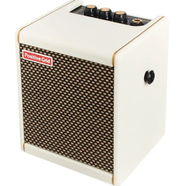 Positive Grid Spark Mini PW
