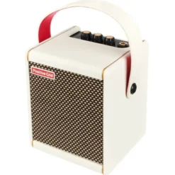 Positive Grid Spark Mini PW