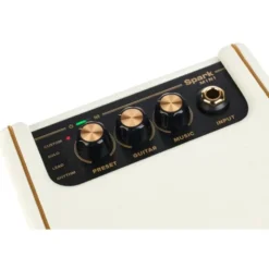 Positive Grid Spark Mini PW