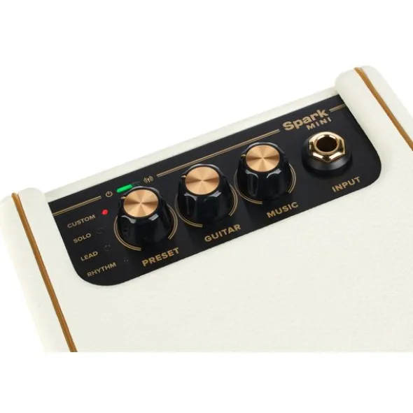 Positive Grid Spark Mini PW