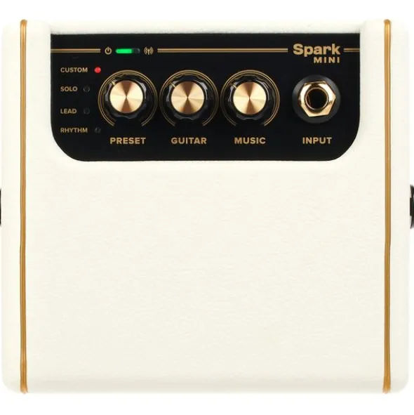 Positive Grid Spark Mini PW