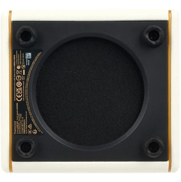 Positive Grid Spark Mini PW