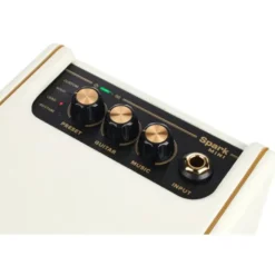 Positive Grid Spark Mini PW