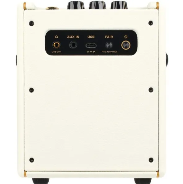 Positive Grid Spark Mini PW