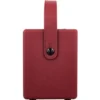 Positive Grid Spark Mini VAI