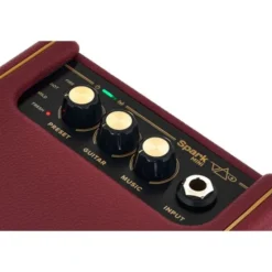 Positive Grid Spark Mini VAI