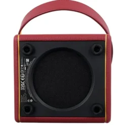 Positive Grid Spark Mini VAI