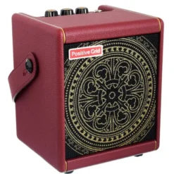 Positive Grid Spark Mini VAI
