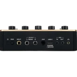Positive Grid Spark Pedal