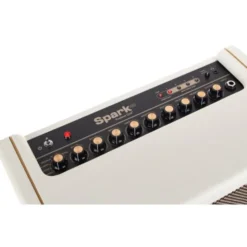 Positive Grid Spark 40 PW