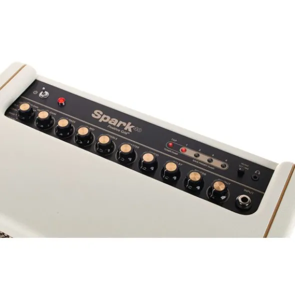 Positive Grid Spark 40 PW Bundle