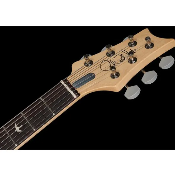 PRS JM Silver Sky RW Mojave Brown