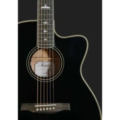PRS SE A20E BX incl. Bag