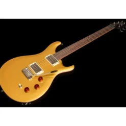 PRS SE DGT Gold Top