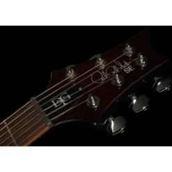 PRS SE DGT Gold Top