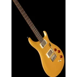 PRS SE DGT Gold Top