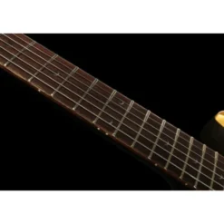 PRS SE DGT Gold Top