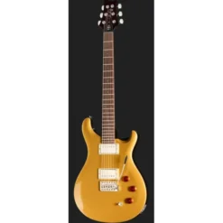 PRS SE DGT Gold Top