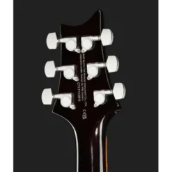 PRS SE DGT Gold Top