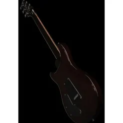 PRS SE DGT Standard Moons MTS