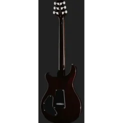 PRS SE DGT Standard Moons MTS