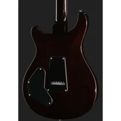 PRS SE DGT Standard Moons MTS