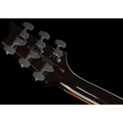 PRS SE DGT Standard Moons MTS