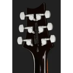 PRS SE DGT Standard Moons MTS