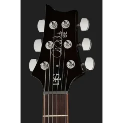 PRS SE DGT Standard Moons MTS