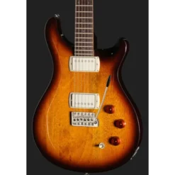 PRS SE DGT Standard Moons MTS